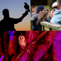 Hawk Conservancy 2023 Competition